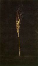 Haga click para ver la imagen ampliada 1947_17_wheat ear 1947.jpg